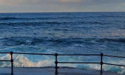 Featured image of post SSM