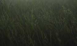 Featured image of post 第一个DI