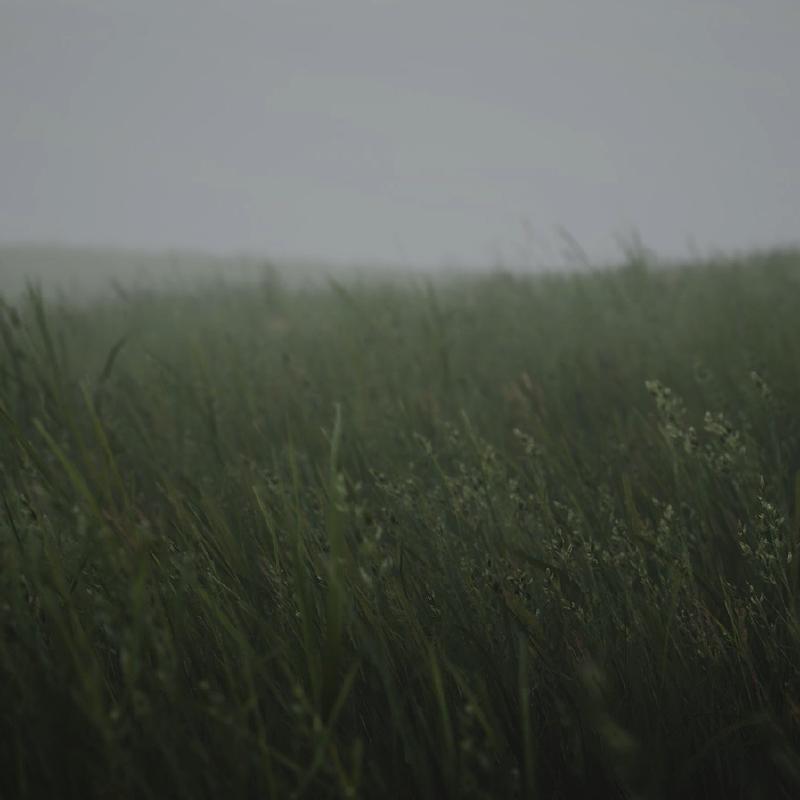 Featured image of post 第一个DI