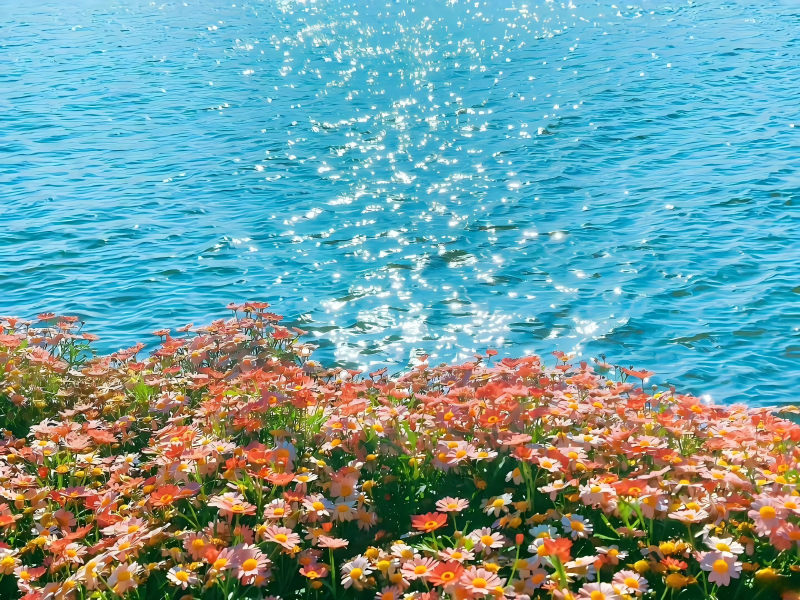 Featured image of post JDBC-入门到高级